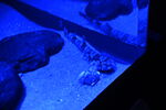 DSC_6880.JPG
